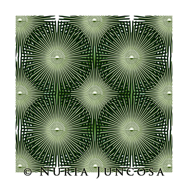 AGAVE by Nuria Juncosa