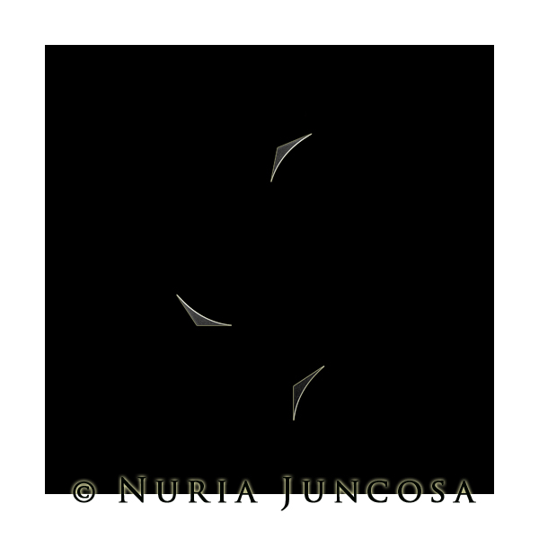 3 ROTATIONS  by Nuria Juncosa