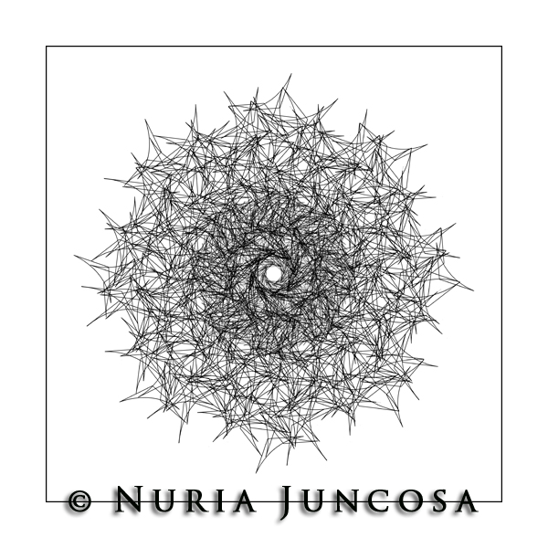 WHITE & BLACK  by Nuria Juncosa